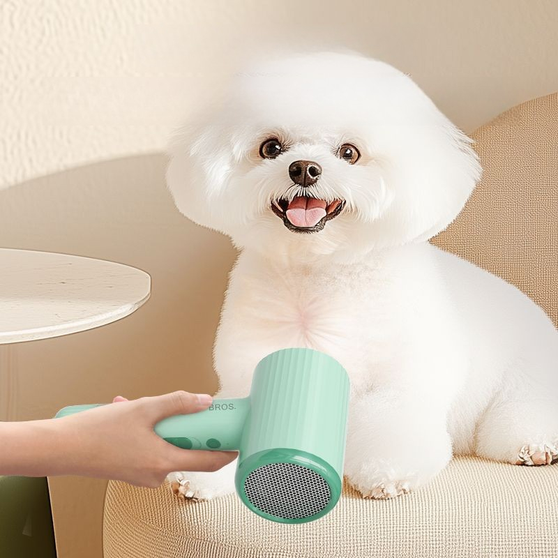Professional Pet Hair Dryer Be - Pet Supplies For Less avis et prix