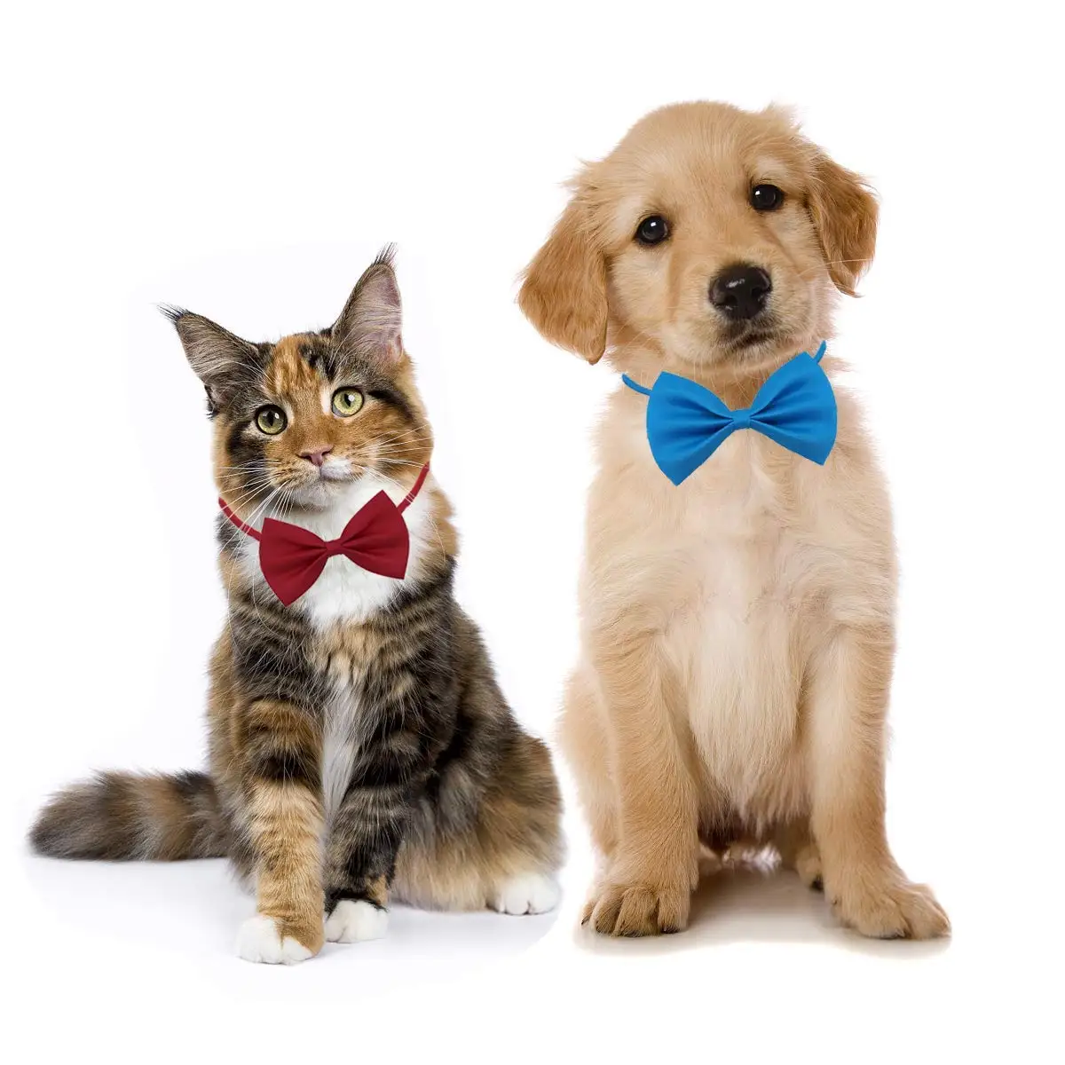 50/100pcs Dog Bows Mix Colors  - Dog Bandana Scarf avis et prix