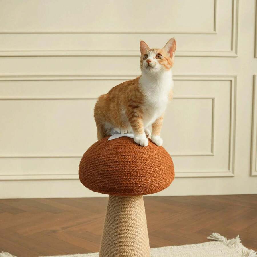 Colourtree Mushroom Cat Scratc - Cat Scratching Post avis et prix