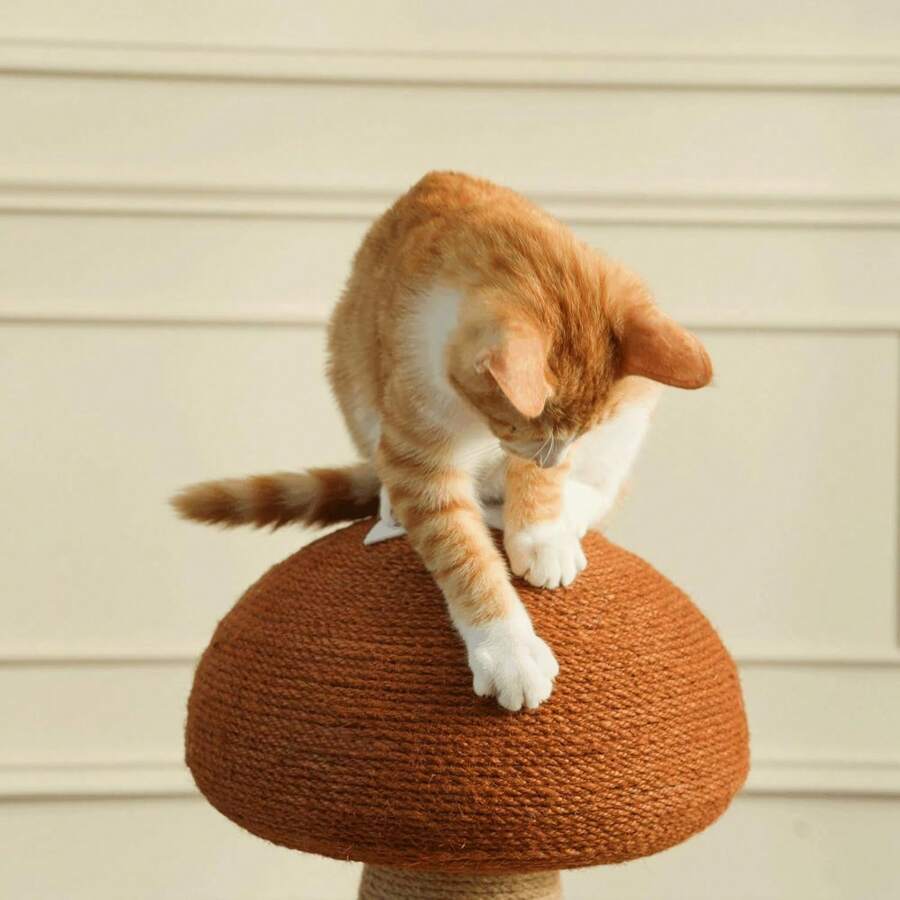 Colourtree Mushroom Cat Scratc - Cat Scratching Post avis et prix