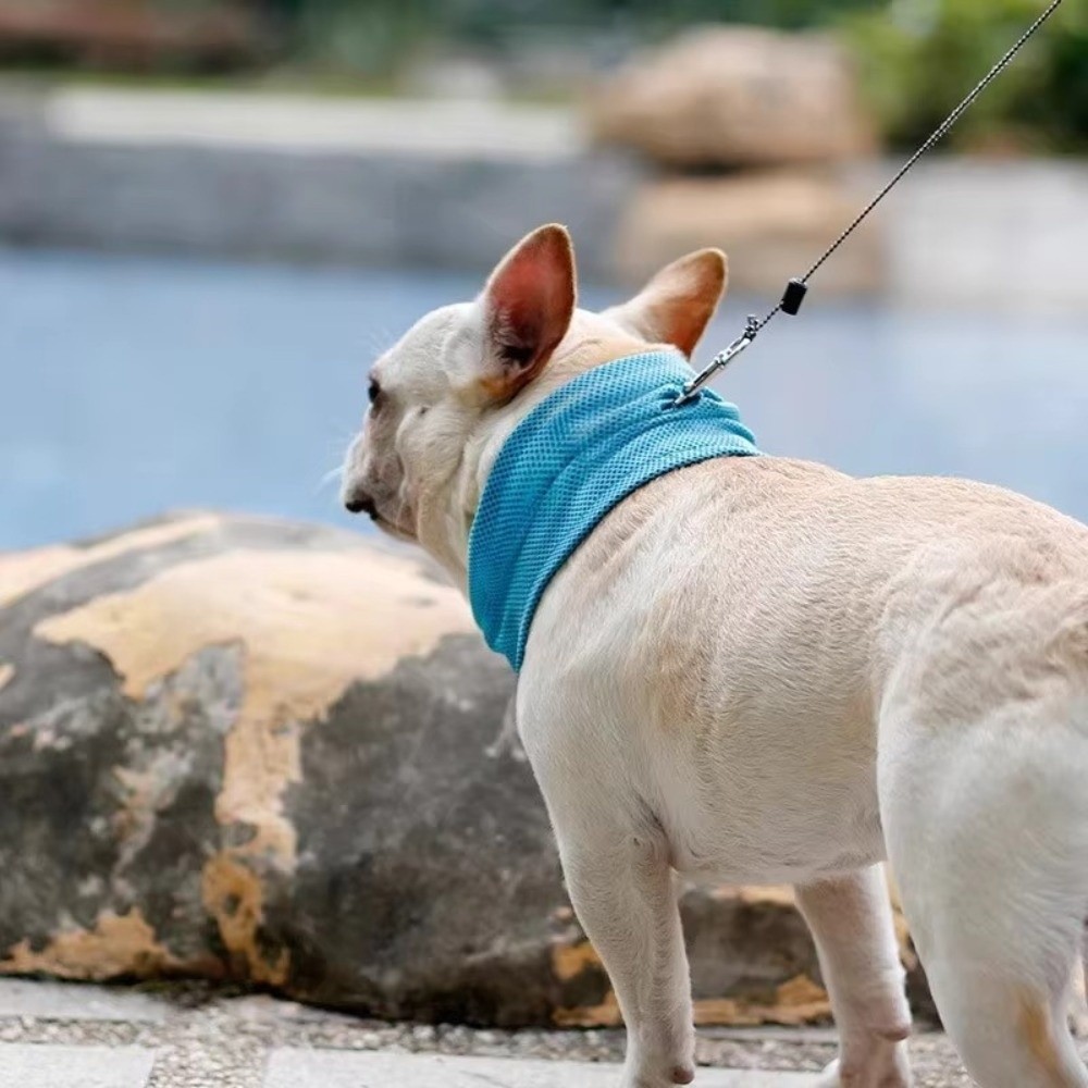 Resuable Pet Cooling Ice Towel - Dog Bandana Scarf avis et prix