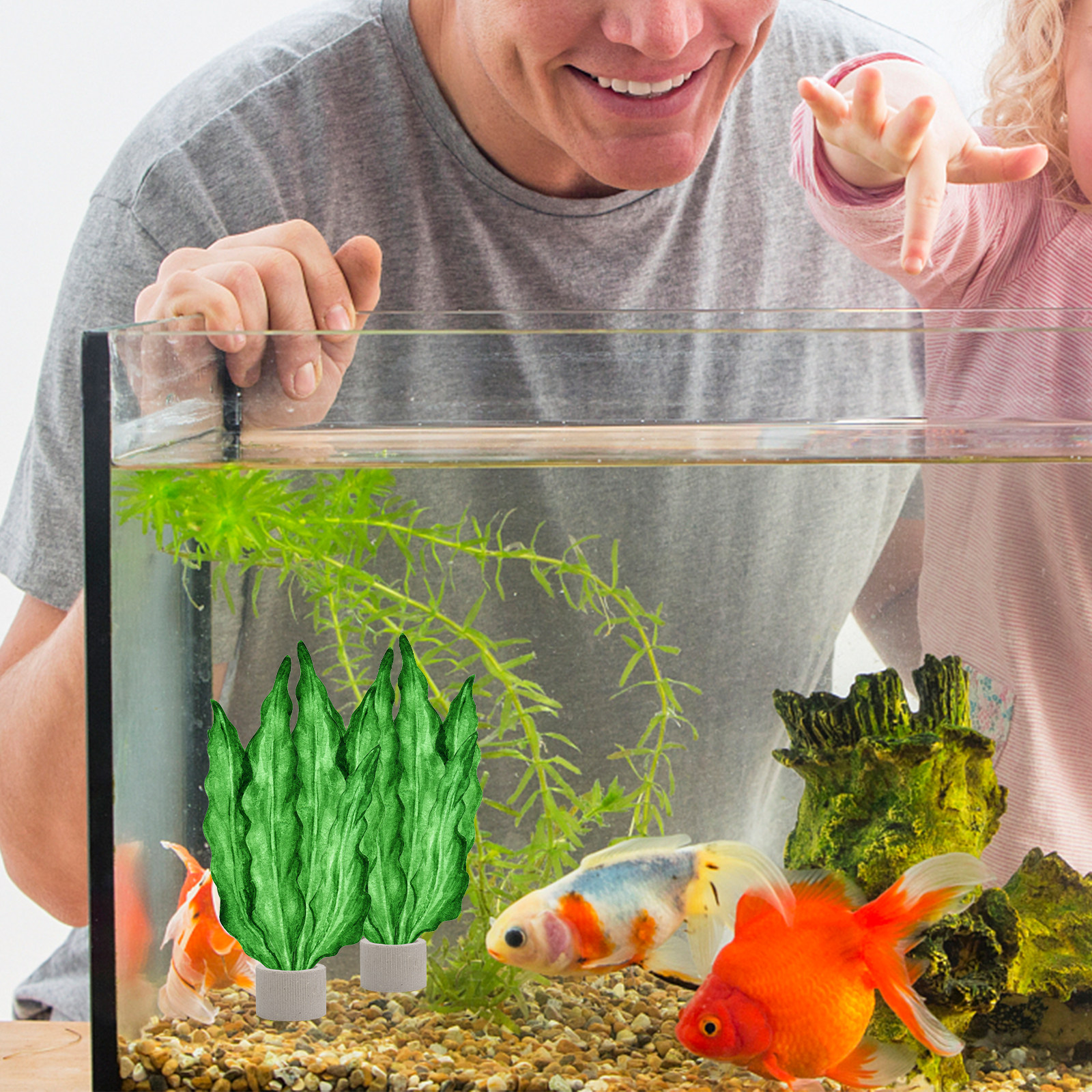 5Pcs Premium Pottery Water Pla - Aquarium Fish Tank avis et prix