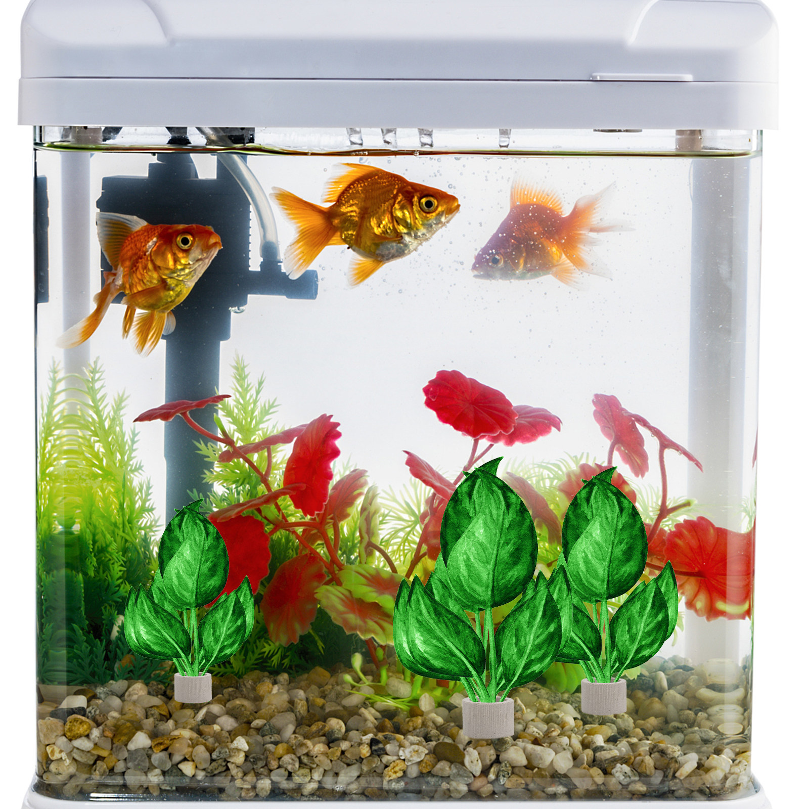 5Pcs Premium Pottery Water Pla - Aquarium Fish Tank avis et prix
