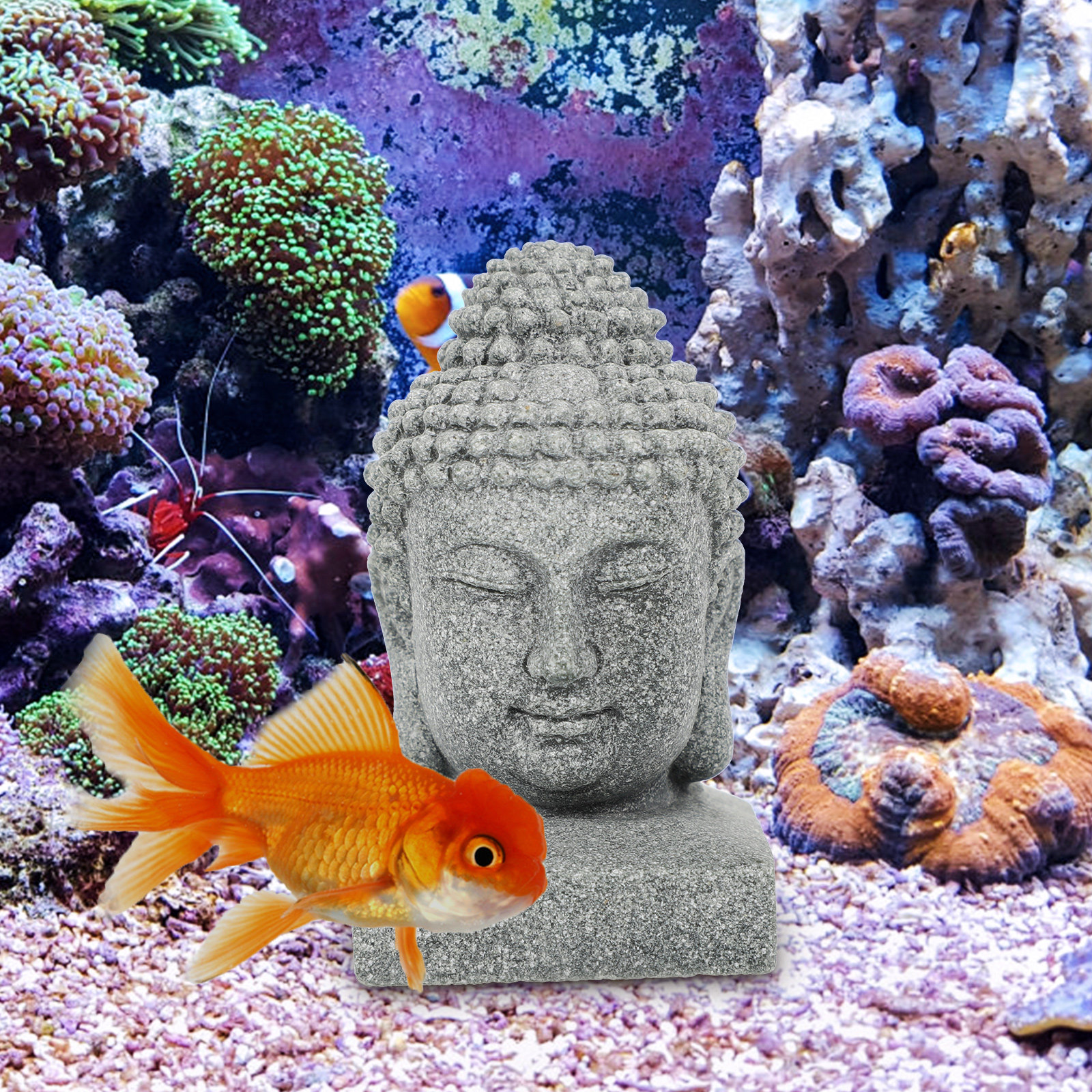 Desktop Buddha Statue Chinese  - Aquarium Fish Tank avis et prix