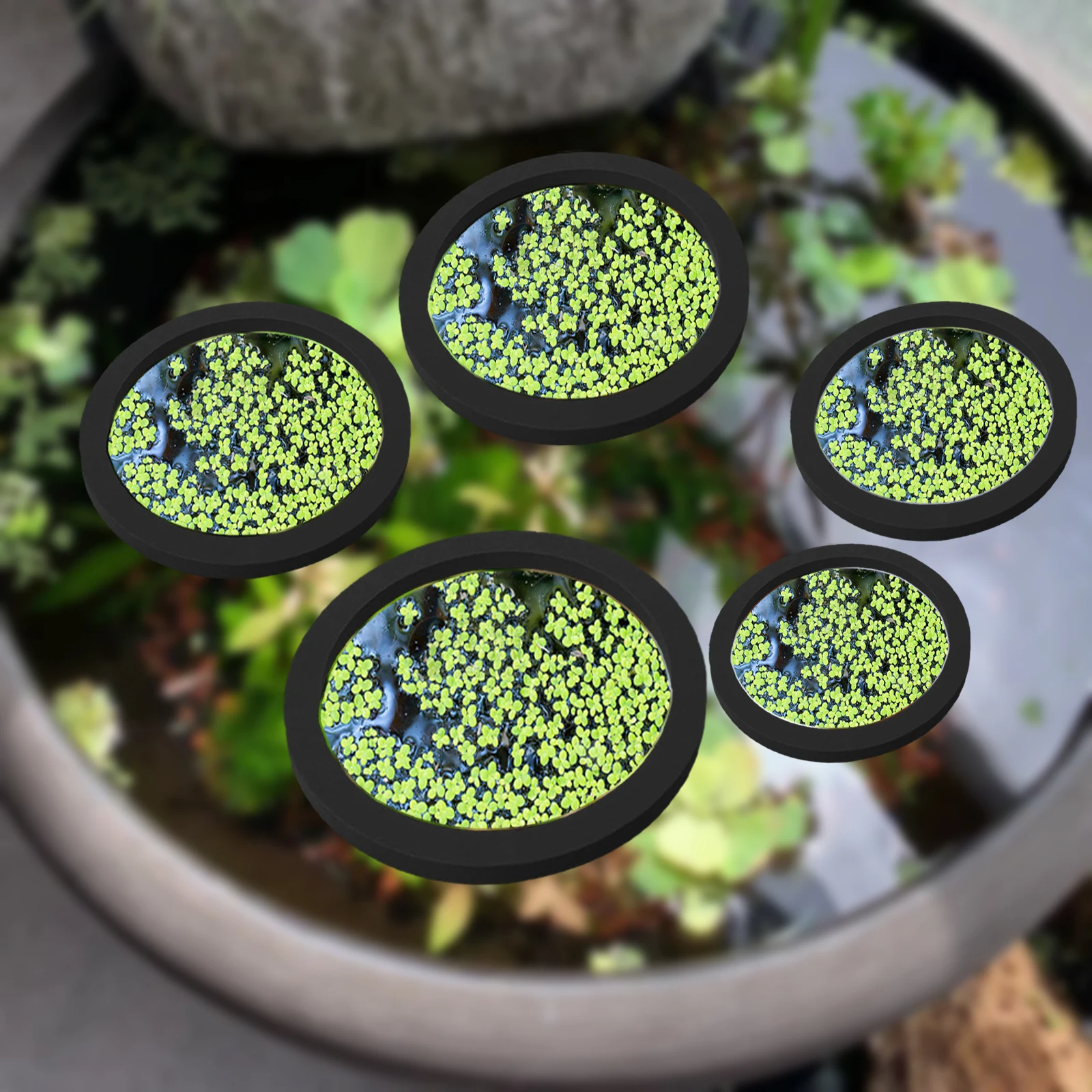 5Pcs EVA Fish Feeding Ring Aqu - Aquarium Fish Tank avis et prix