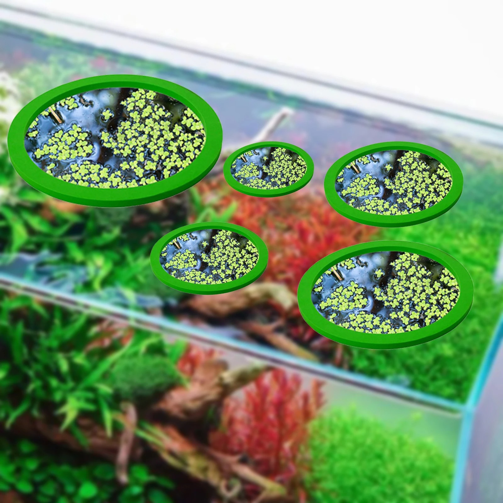 5Pcs EVA Fish Feeding Ring Aqu - Aquarium Fish Tank avis et prix