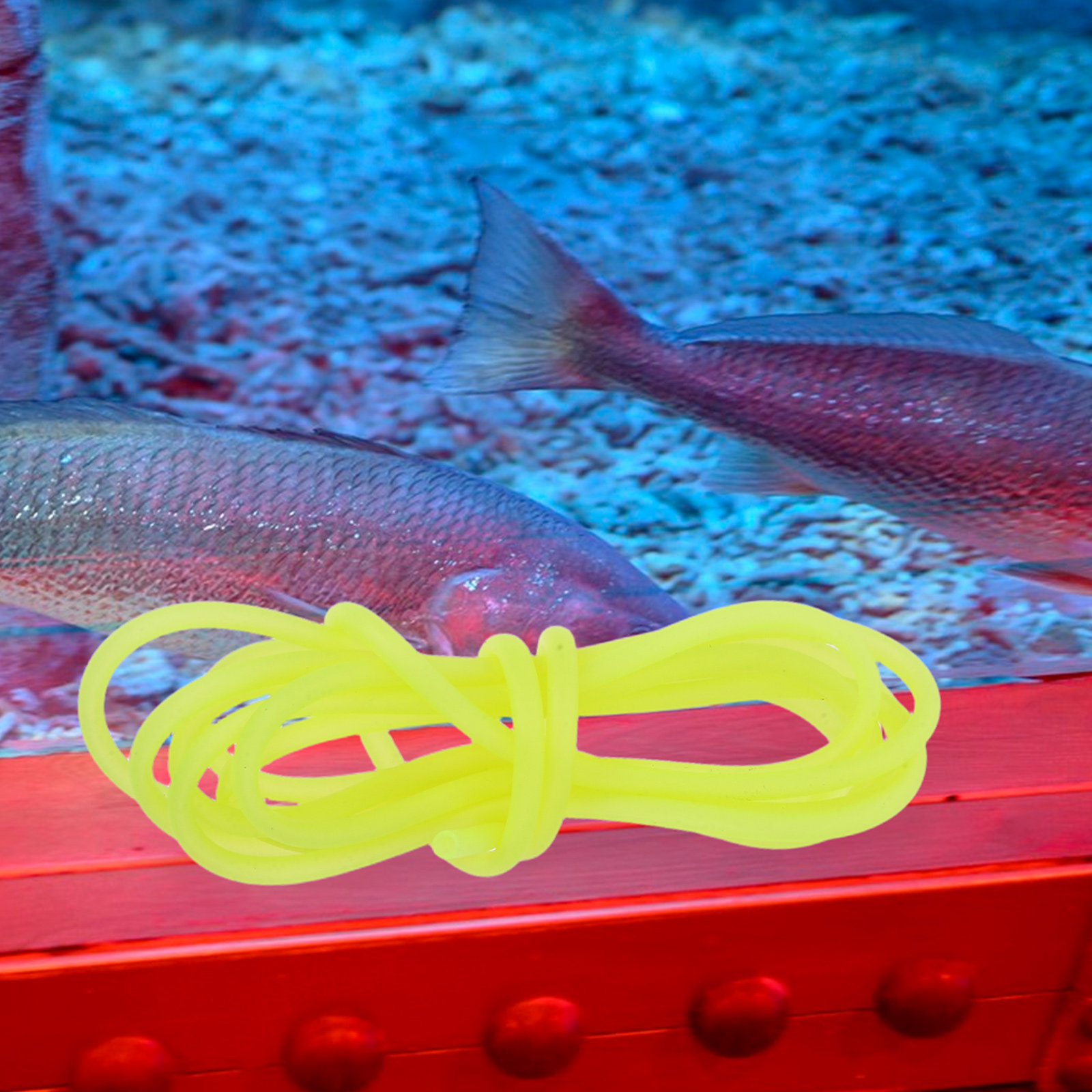 Durable Thickened Flexible PVC - Aquarium Fish Tank avis et prix