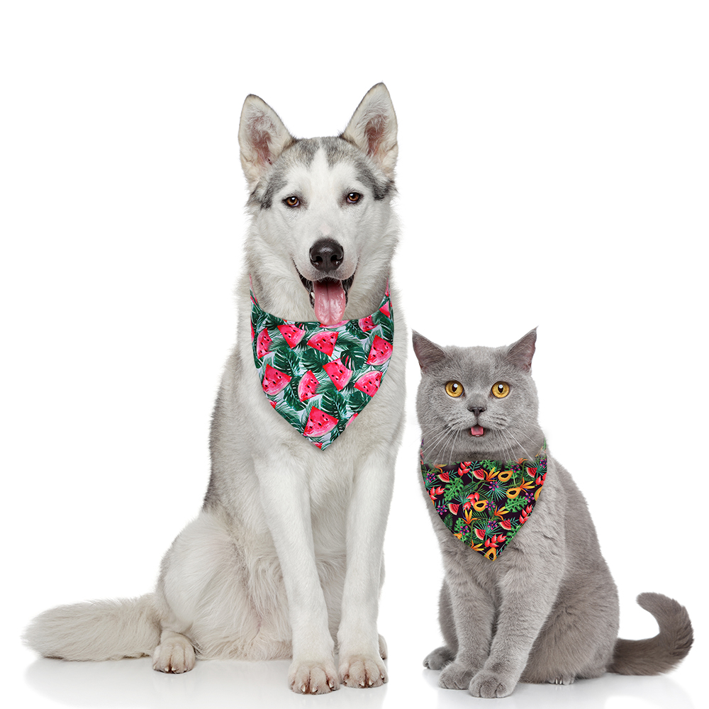 8pcs Dog Bandana Fruit Style B - Dog Bandana Scarf avis et prix
