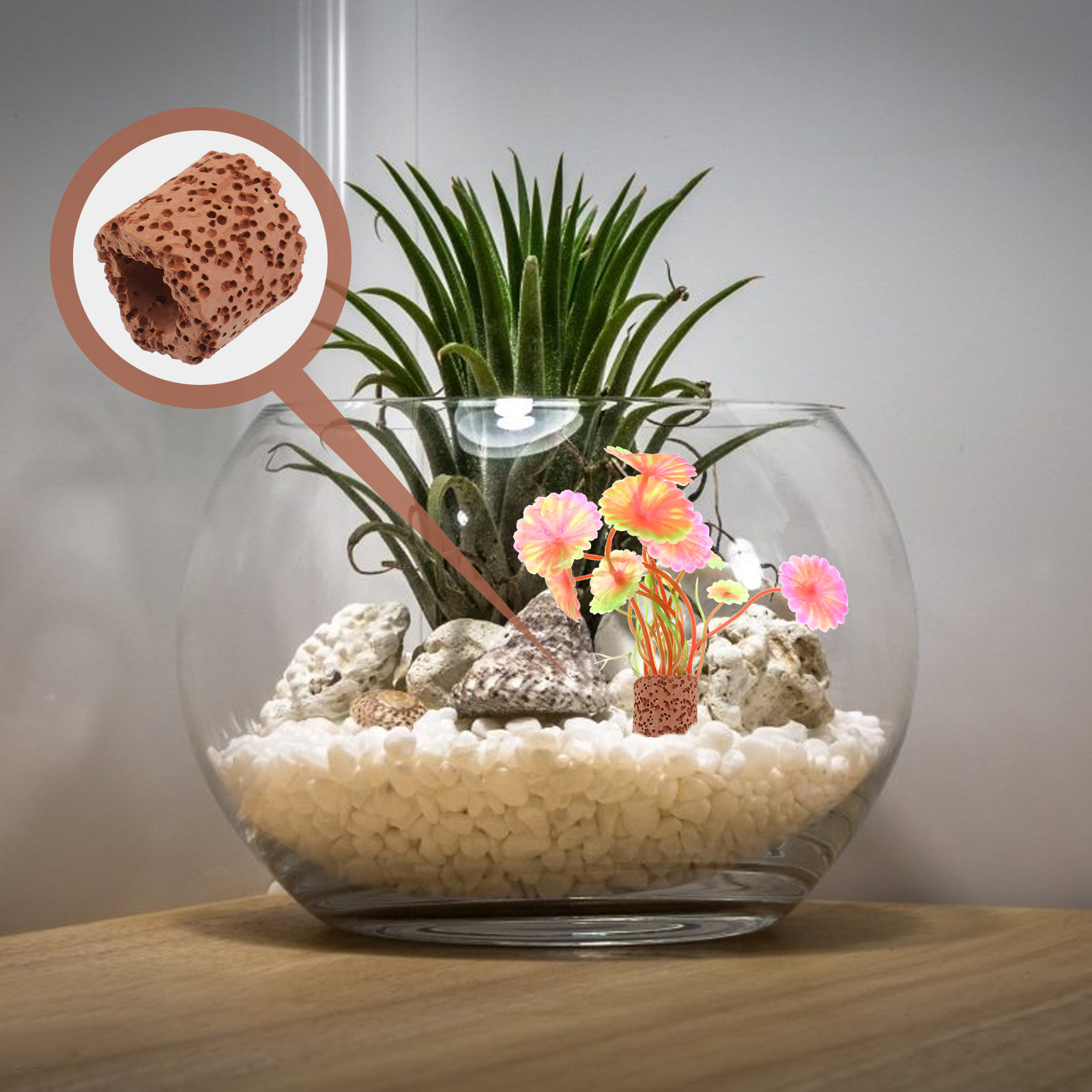 10Pcs Water Plant Fixed Ring S - Aquarium Fish Tank avis et prix