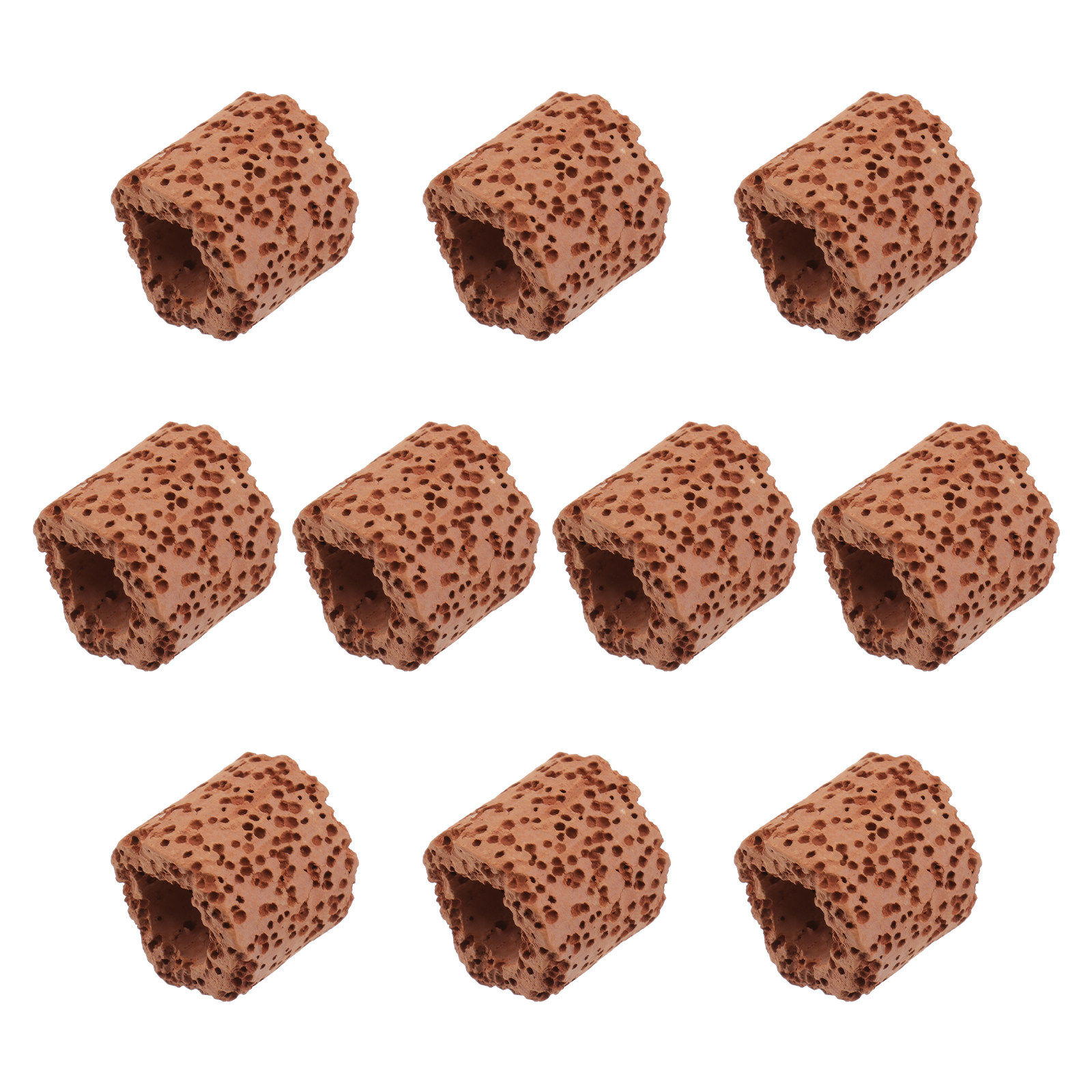 10Pcs Water Plant Fixed Ring S - Aquarium Fish Tank avis et prix