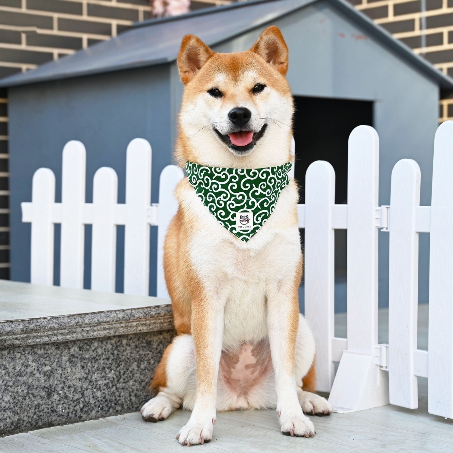Dog Accessories NEW Pet Dog Ba - Dog Bandana Scarf avis et prix
