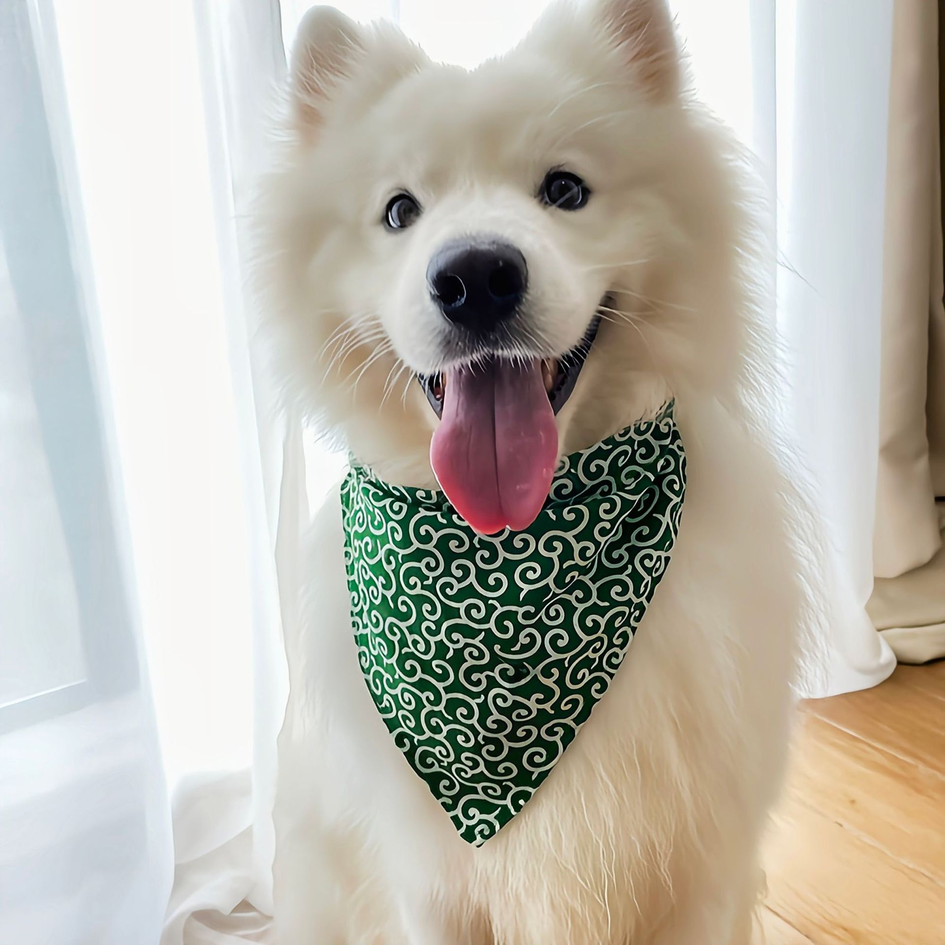 Dog Accessories NEW Pet Dog Ba - Dog Bandana Scarf avis et prix